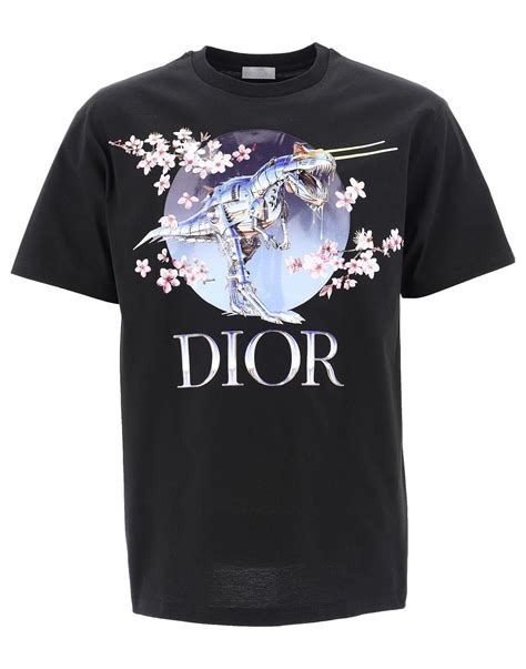 men's dior t shirt price|christian Dior t shirt price.